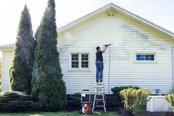 Best Graffiti Removal  in Moorhead, MS